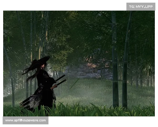 江湖探险与侠客修炼必备十大攻略技巧助你成就风云霸业 江湖探险与侠客修炼必备十大攻略技巧助你成就风云霸业