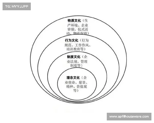 东超一词的深层含义与背景解析，探究其在文化与社会中的多重象征意义