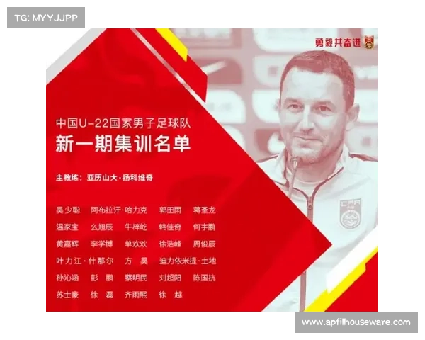 从延期到易地再办全面解析2022与2023亚洲杯赛事变迁与内在联系