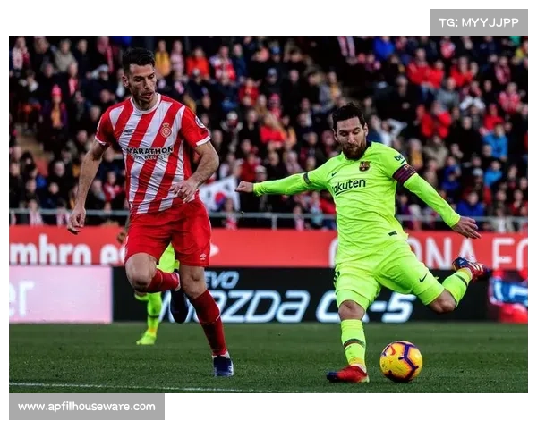 巴塞罗那足球俱乐部归属问题解析与专家答疑指南